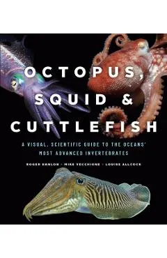 Octopus, Squid, and Cuttlefish: A Visual, Scientific Guide to the Oceans' Most Advanced Invertebrates