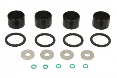 Chit reparatie injectoare DELPHI 2.0 HDI DW10 (cu inel O pentru corp) potrivit DS DS 5; CITROEN C4 GRAND PICASSO I, C4 II, C4 PICASSO I, C4 PICASSO II, C5 III, C8, DS4, DS5 2.0D 2.0DH 07.00