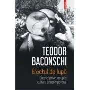 Efectul de lupa. Cateva priviri asupra culturii contemporane