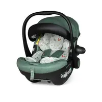 Scaun auto Cosatto Acorn 2 Meadow I-Size, Certificare ADAC, Insertii moi, Husa detasabila, Copertina reglabila