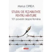 Studiu de fezabilitate pentru mantuire. 101 povestiri despre Romania