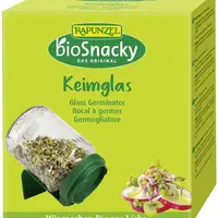 Borcan pentru Germinare 1buc