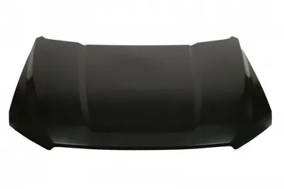 Capota motor (aluminiu) potrivit FORD USA F-150 05.20