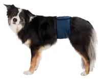 Banda (Incontinenta Urinara) Masculi L 55-65 cm Albastru 23664