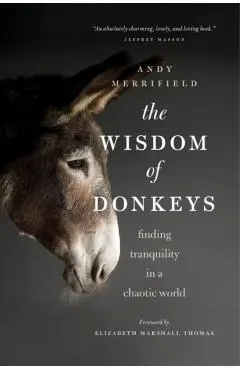 The Wisdom of Donkeys: Finding Tranquility in a Chaotic World