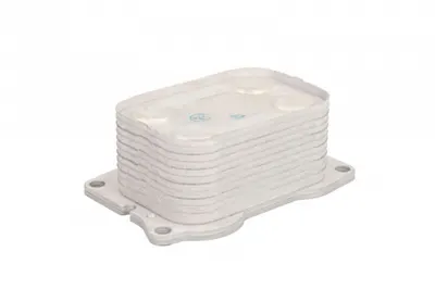 Termoflot Radiator Ulei (63x46x95) Volvo C30, C70 Ii, S40 Ii, S80 Ii, V50, V70 Iii; Citroen C4, C4 Grand Picasso I, C4 I, C4 Ii, C4 Picasso I, C5 Ii, C5 Iii, C8, Ds4, Ds5, Jumpy; Fiat Scudo 2.0d 2.0dh