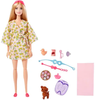 Set de joc Barbie Wellness - Timp pentru pedichiură