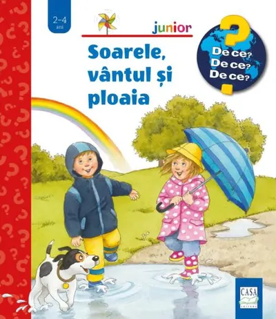 Soarele, vântul și ploaia - Hardcover - Patricia Mennem