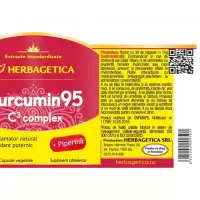 Curcumin 95 C3 Complex | Herbagetica