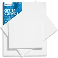 Pânză pentru pictură Professional - 40 x 40 cm