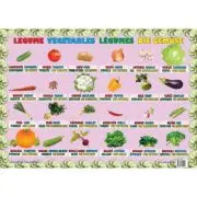 Legume