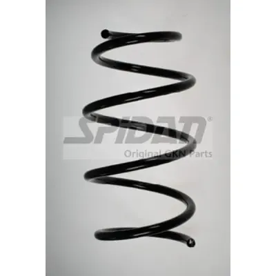 Arc spiral SPIDAN 56931