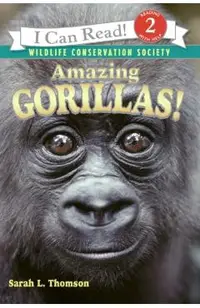 Amazing Gorillas!