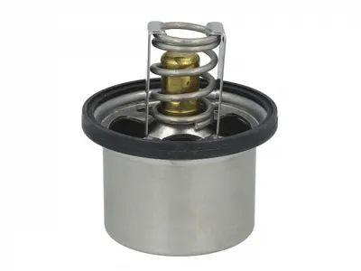 Termostat lichid racire (75 C, cu garnitura) potrivit DAF 95 WS225-WS315M 09.87-01.98