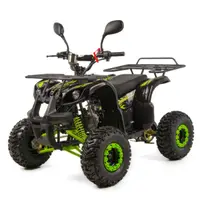 Atv copii XTR 006 Phyton, roti 7 inch, 110cc, 4 timpi, 1+1, pornire electrica, culoare negru lime