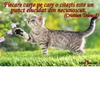 Card magnetic laminat (model 9) - Fiecare carte pe care o citesti este un punct elucidat din necunoscut (Cristian Teleuca)