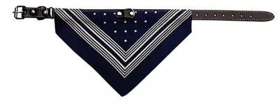 Zgarda din piele, cu bandana, rezistenta, 35 cm x 1.2 cm