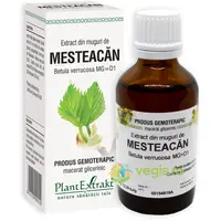 Extract din Muguri de Mesteacan 50ml