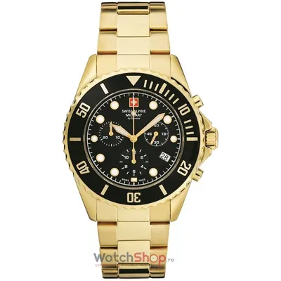 Ceas Swiss Alpine Military BY GROVANA 7053.9117