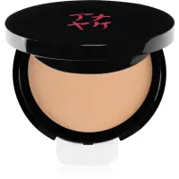 Annayake Silky Compact Foundation make-up compact pentru strălucirea și netezirea pielii culoare 25 dark beige 9 g