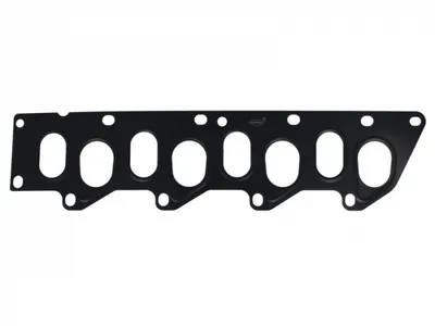Garnitura Galerie Evacuare Mitsubishi Carisma; Renault Clio Ii, Espace Iii, Iv, Kangoo, Megane I, Ii, Scenic I, Ii, Trafic Ii, Master Ii; Volvo S40 1.9d 03.97