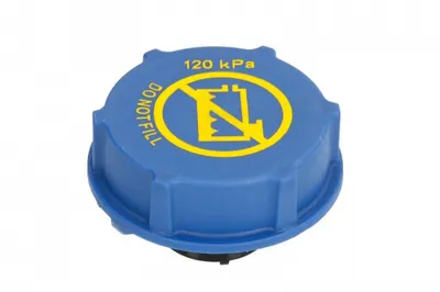 Buson vas expansiune potrivit VOLVO FH II, FM, FM II D11A430-D13K540 09.05