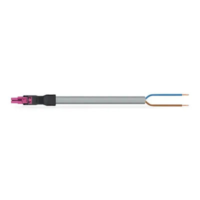 pre-assembled connecting cable; Eca; Socket/open-ended; 2-pole; Cod. B; Control cable 2 x 1.5 mm²; 8 m; 1,50 mm²; pink