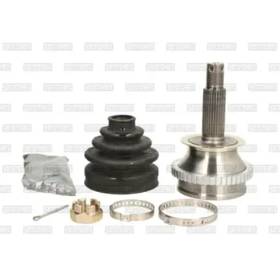 Set articulatie, planetara PASCAL G10563PC