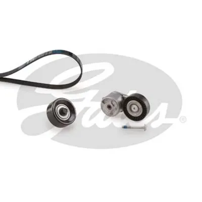 Set curea transmisie cu caneluri GATES K026PK1685