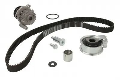 Set Pompa Apa + Curea Dintata Potrivit Audi A3, A6 C5, Tt; Seat Alhambra, Leon, Toledo Ii; Skoda Octavia I; Vw Bora, Bora I, Golf Iv, New Beetle, Sharan 1.8 09.96-12.10