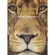 In marime naturala. Animale din Africa. Editie hardcover