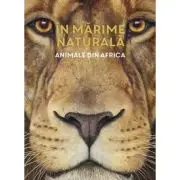 In marime naturala. Animale din Africa. Editie hardcover