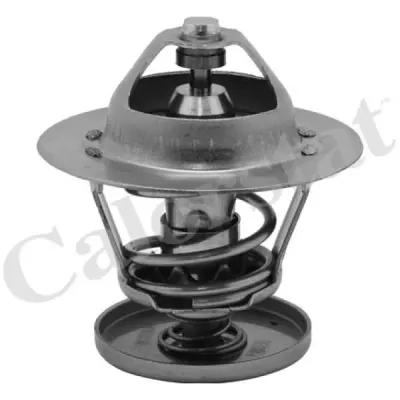 Termostat, lichid racire CALORSTAT by Vernet TH6526.88J