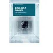 Volumul 3. Mari idei ale matematicii. In culisele Big Data. O abordare statistica