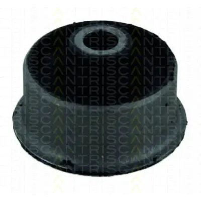 Bucse brat suspensie TRISCAN 8500 16807