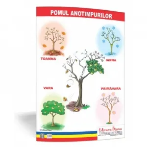 Pomul anotimpurilor - plansa 50x70