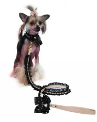 Lesa din piele ecologica, bej cu negru, decorata cu dantela si cristale Swarovski, lungime 1.2 m