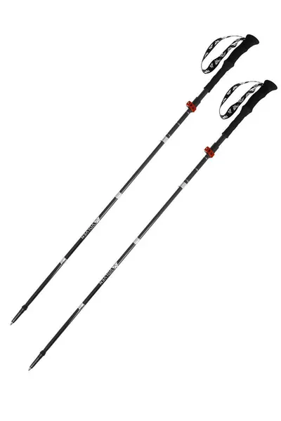 Bețe de trekking Expert Carbon