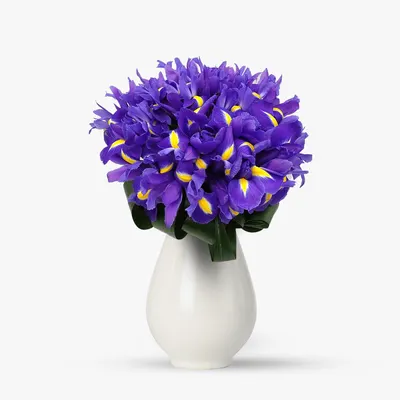 Buchet de 45 irisi mov