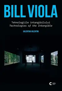 Bill Viola - Tehnologiile intangibilului. Tehnologies of the Intangible - Paperback brosat - Valentina Valentini
