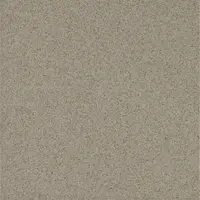 Gresie exterior / interior antiderapanta Tehnica H200 Grey 30 x 30 cm mata portelanata tip piatra naturala