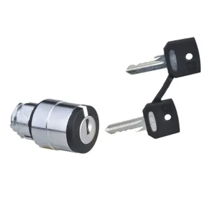 Cap Selector 3 Pozitii Retinute Ø22 Ronis 455