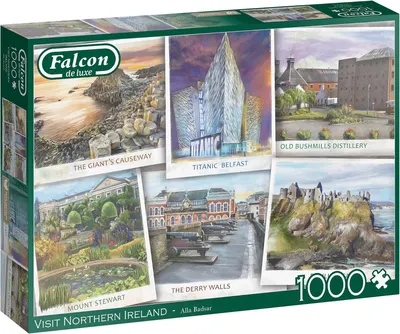 Puzzle Falcon din 1000 piese - Irlanda de Nord