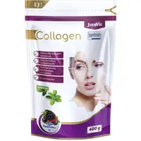 Colagen cu Fructe de Padure 400g