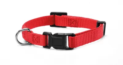 Zgarda reglabila din nylon, rosie, confortabila, 40-53 cm x 2 cm