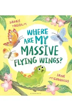Where Are My Massive Flying Wings?