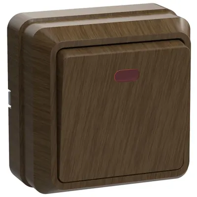 VC20-1-1-OD Intrerupator with an indicator 10A OKTAVA (oak)