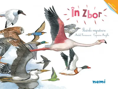 În zbor