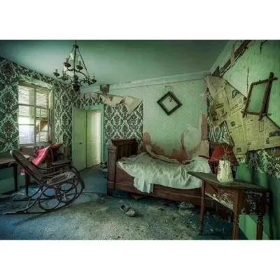 Puzzle Camera Parasita, 1000 Piese