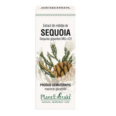SEQUOIA - mladite - gemoderivat - 50ml - PlantExtrakt